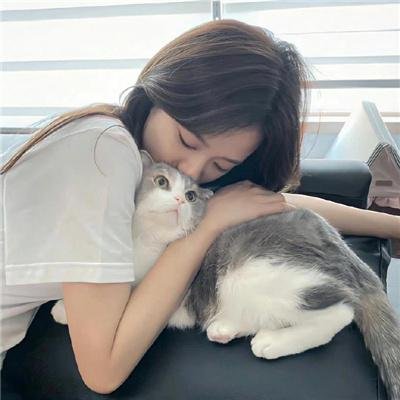 年度新片