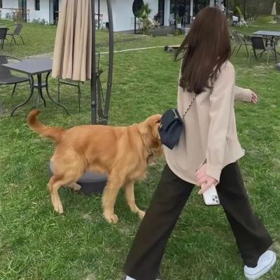 明天、我会成为谁的女友